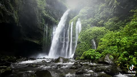 Un paysage magnifique et frais