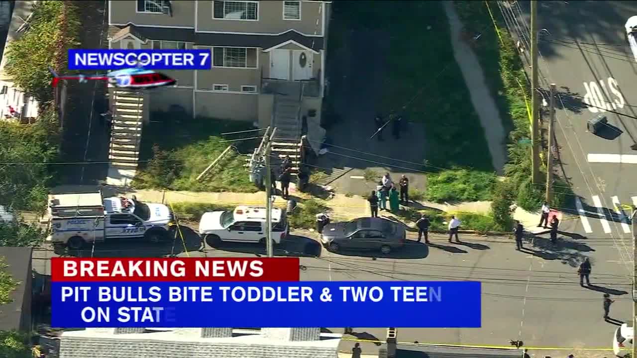 2 teens, toddler attacked by pit bulls on Staten Island