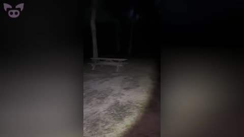 Shocking Paranormal Events Caught on Camera
