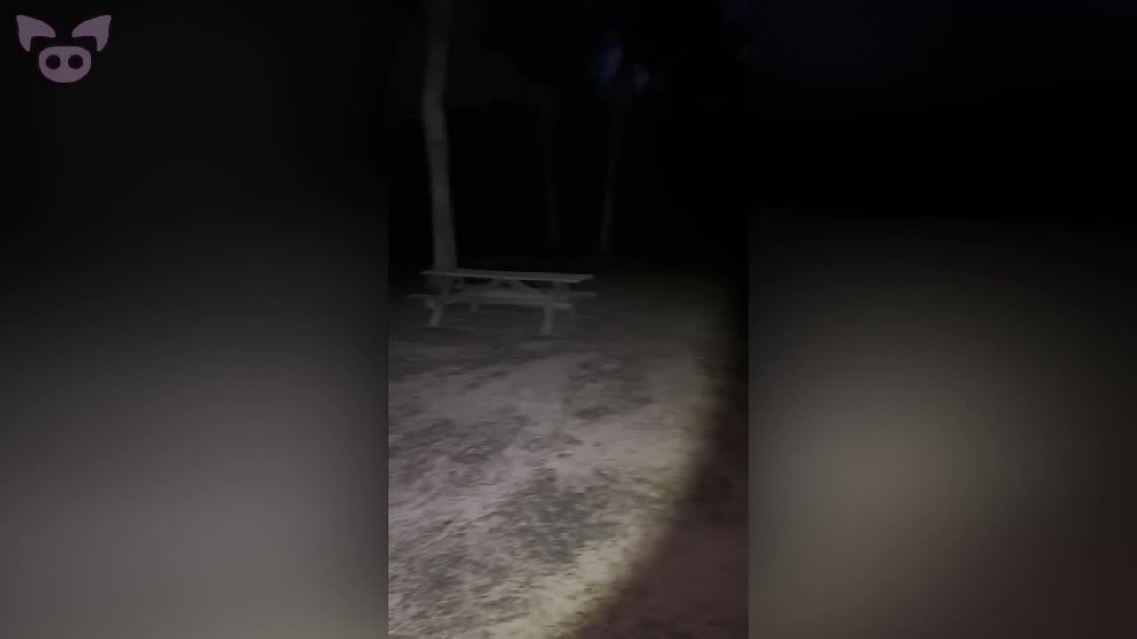 Shocking Paranormal Events Caught on Camera