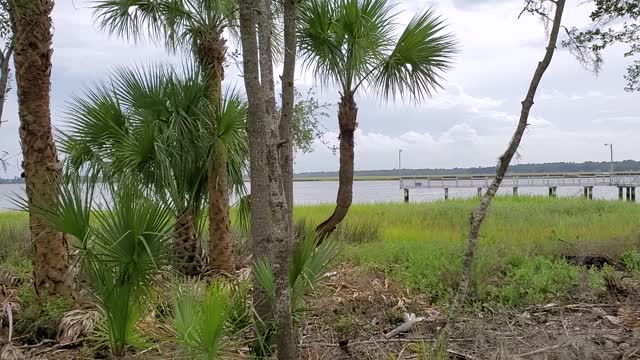 Across the pond from Blythe Island