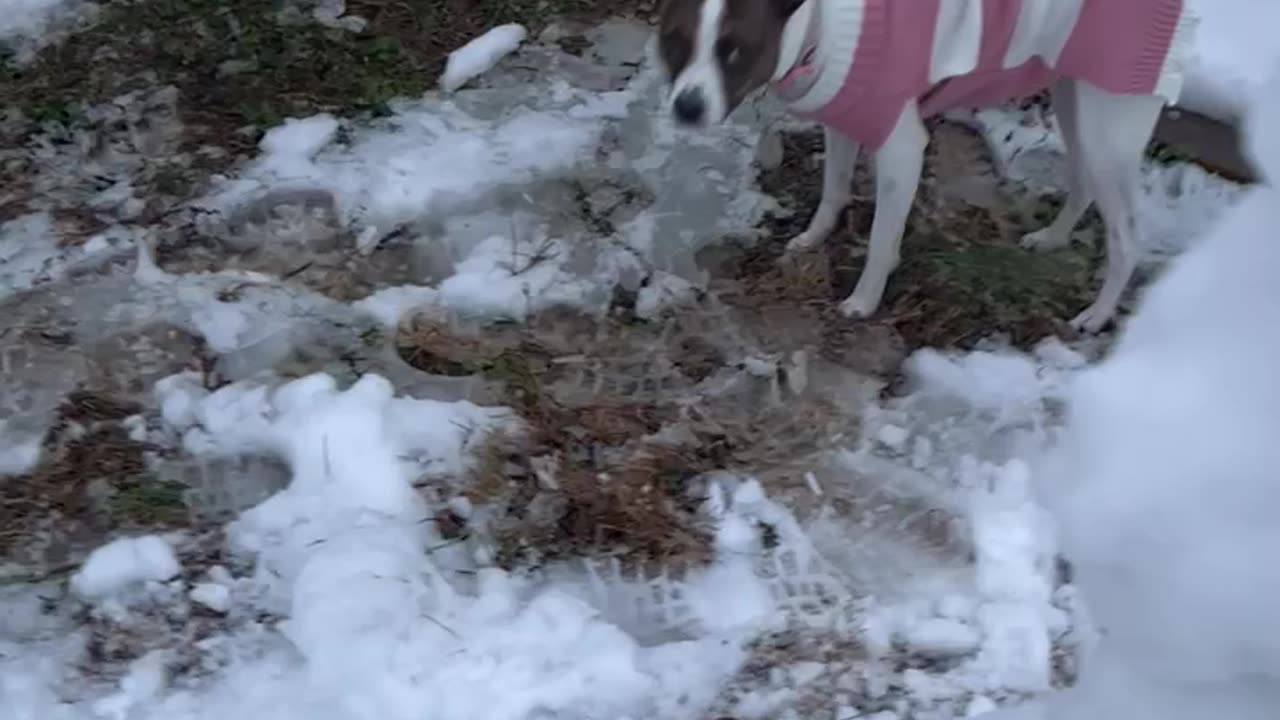 SNOW Pillar Princess