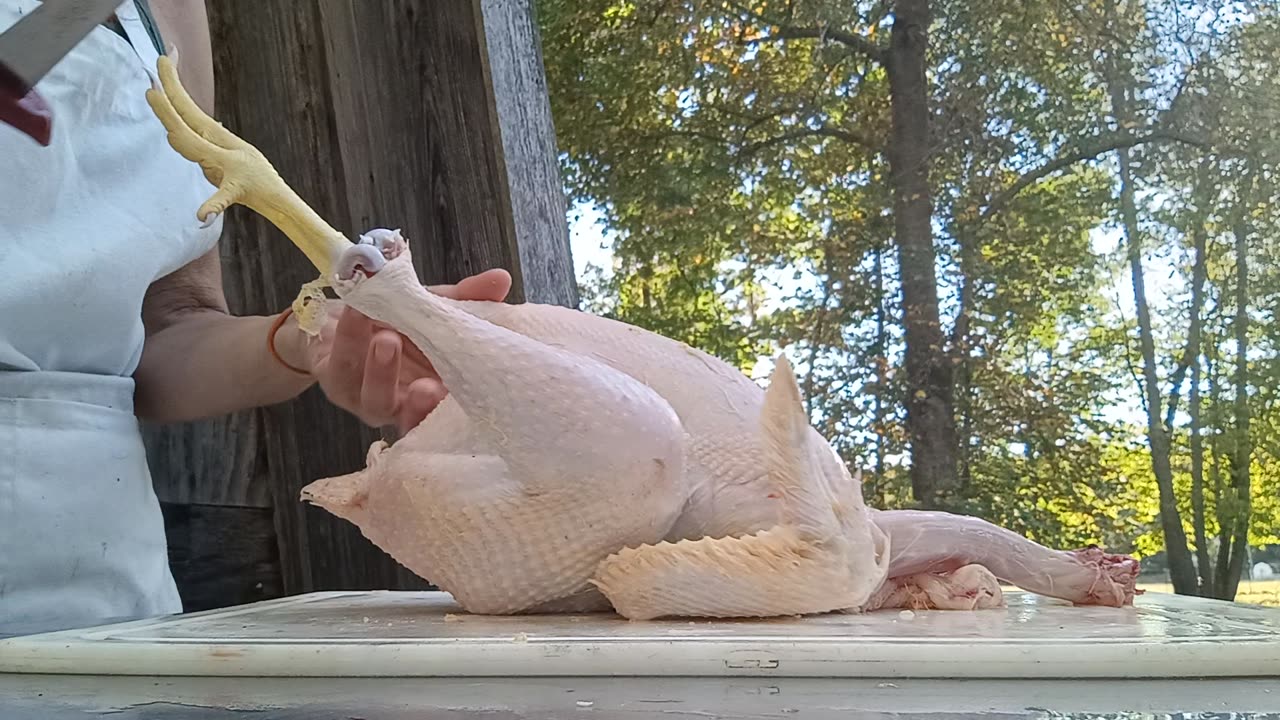 How to fully dress out a chicken - Video #3 - *GRAPHIC*