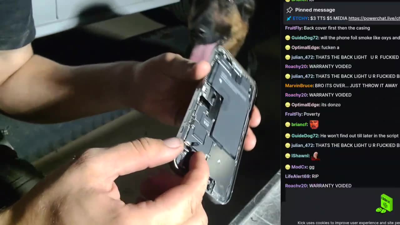 Chicken Andy fixing his cell phone