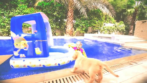 Funny pets kids videos