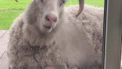 Someone’s watching you