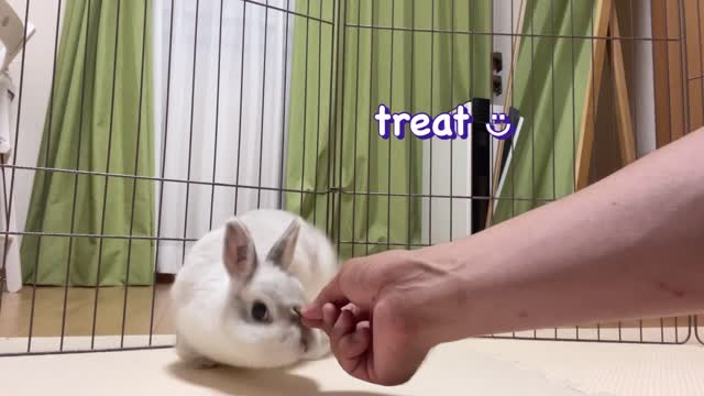 BANG👉🐇 Training is going now💦