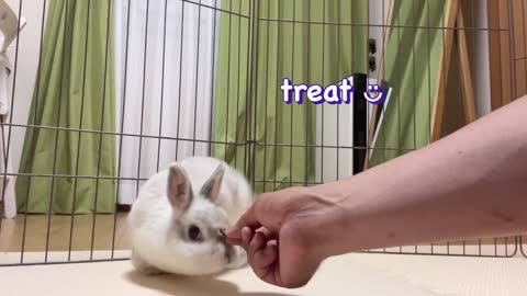 BANG👉🐇 Training is going now💦