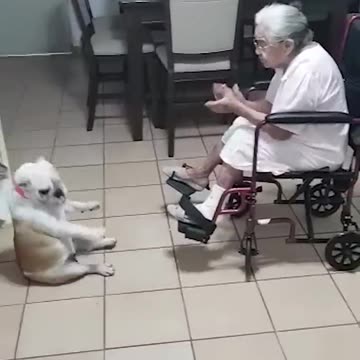 Dog Dances Grandma Sings