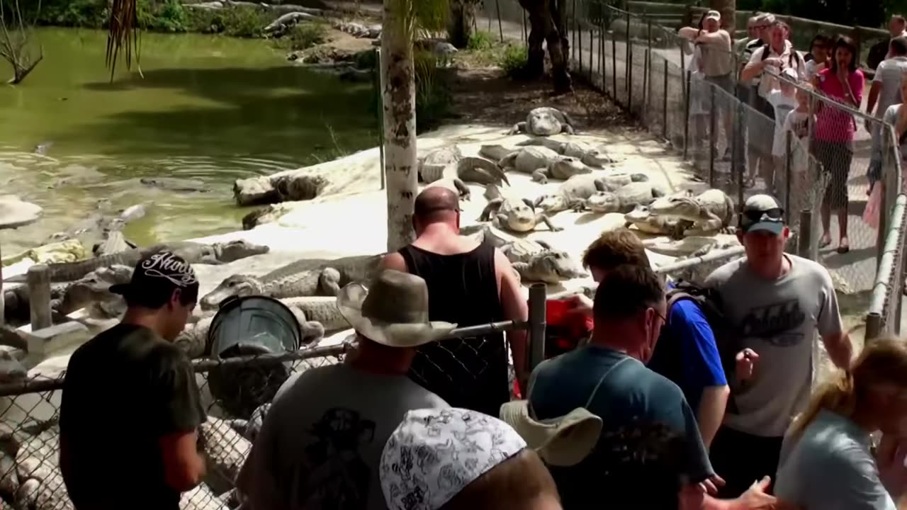 When Captive Animals Took Revenge #animals #viralanimals #funnyanimals #animalkingdom