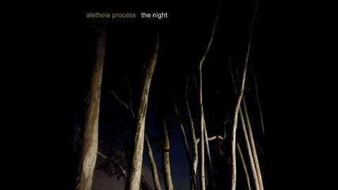 The Night (Part 3)