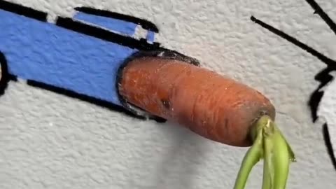 Why you should hide a carrot in your wall 🥕