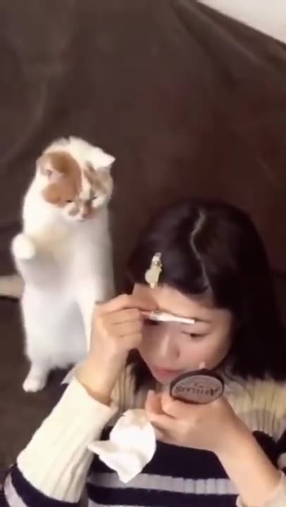 funny animals videos 🍔 🙈 😂 Try Not To Laugh
