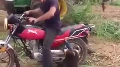 ride with monkey