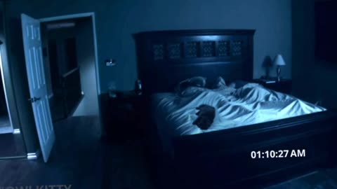 Purranormal Activity was playing out (with my cat, OwlKitty)