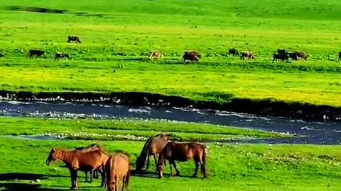 Beautiful place 😍 💕 ❤ ✨ 💖 and I ☺ ❤ 😌 the