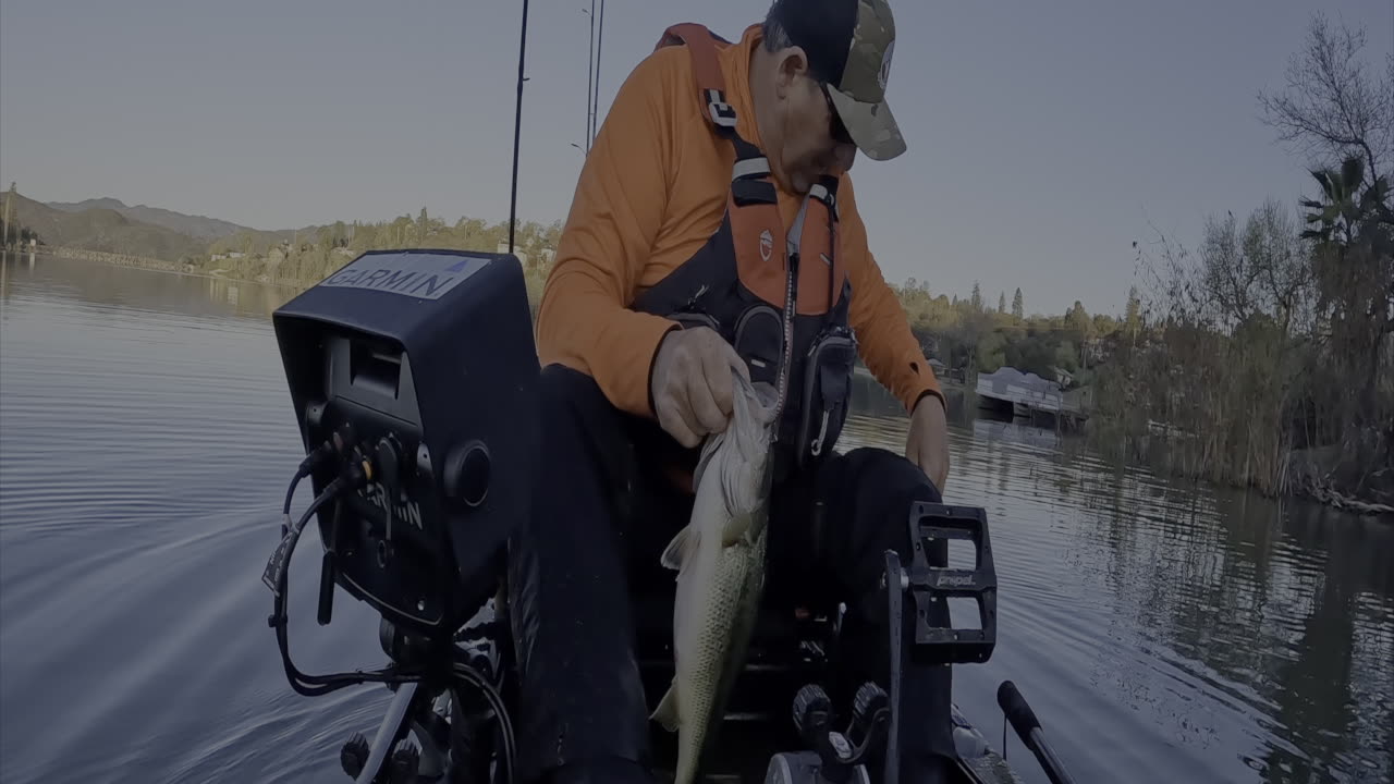 SWIMBAIT LARGEMOUTH!