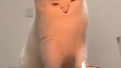First time experience with candles