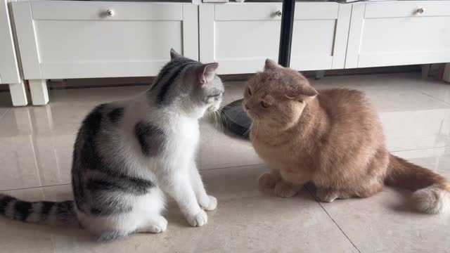 They started to fight with each other