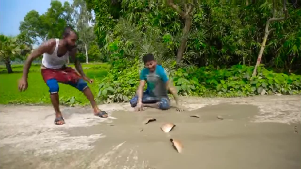 Funny videos