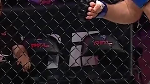 Devastating Knee Knockout MMA Style