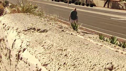 Thunderhill Thief - Political Sign Thief - Ahwatukee