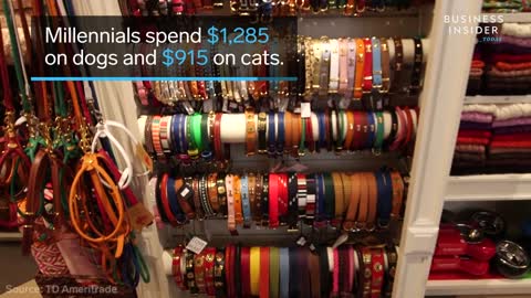 Why Americans Spend So Much Money On Pets