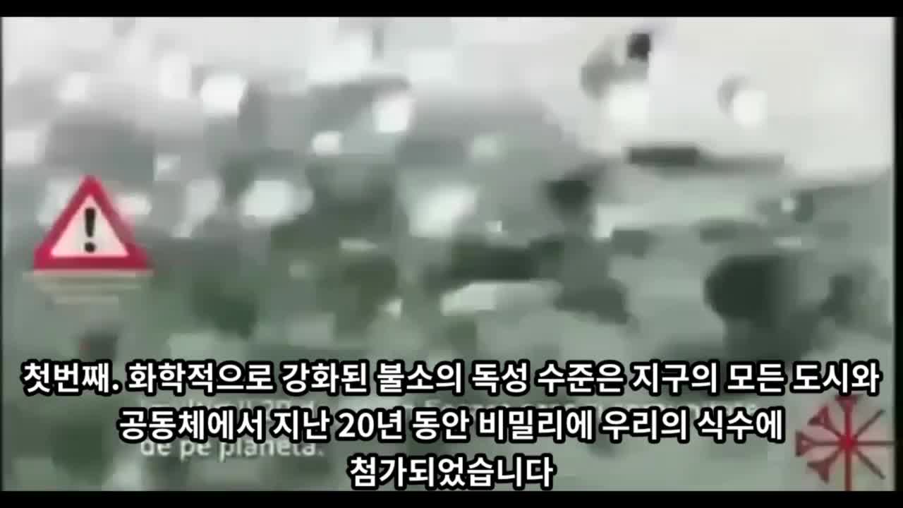 세계 인구를 8억명으로 줄이기로 합의하다.