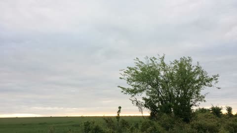 Cloudy Timelapse Sunrise