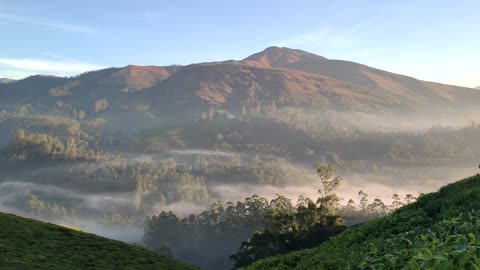 Beauty of munnar