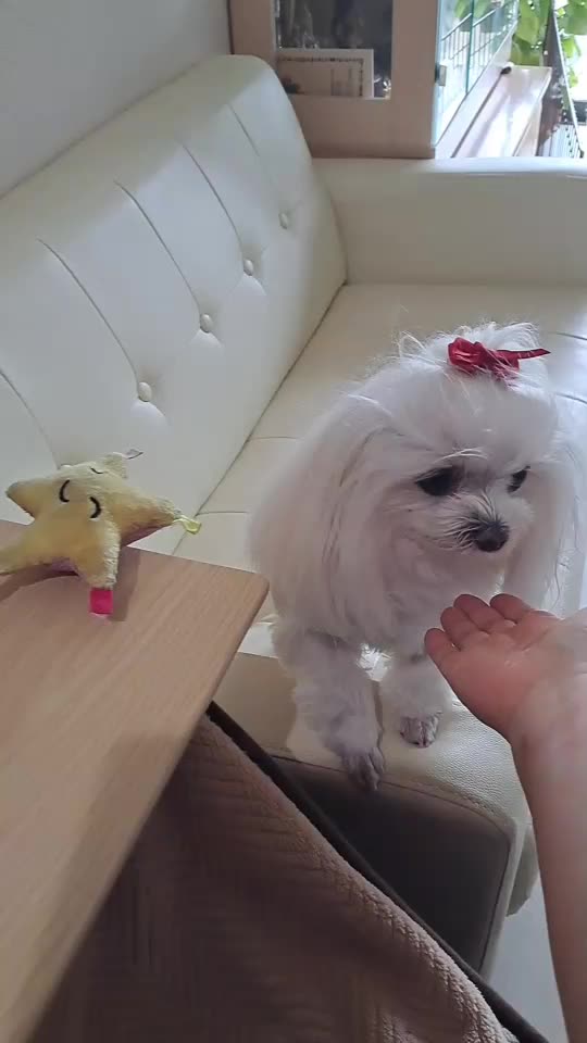 WHAT ARE YOU WAITING FOR?