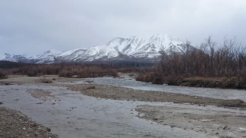 Mountain Stream