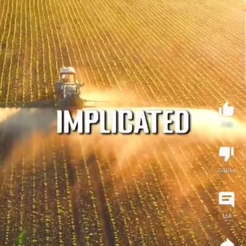 An In-Depth Look at Processed Foods - Dorito's