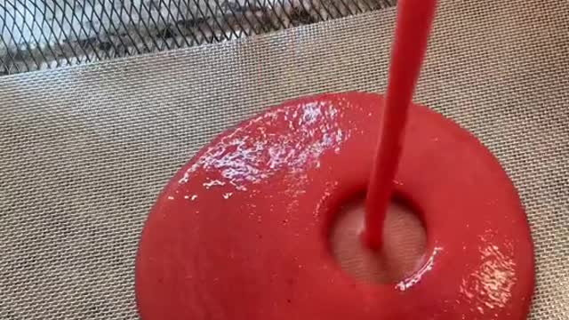 (Lavashak) Homemade fruit roll up fruit leather 😎