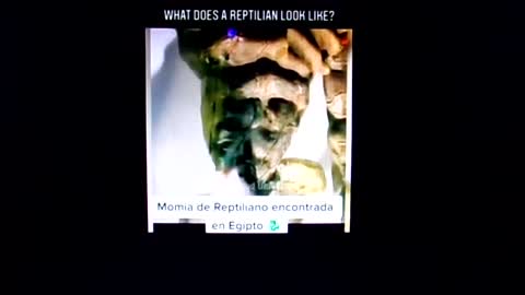 What dose a Reptilian look like?: