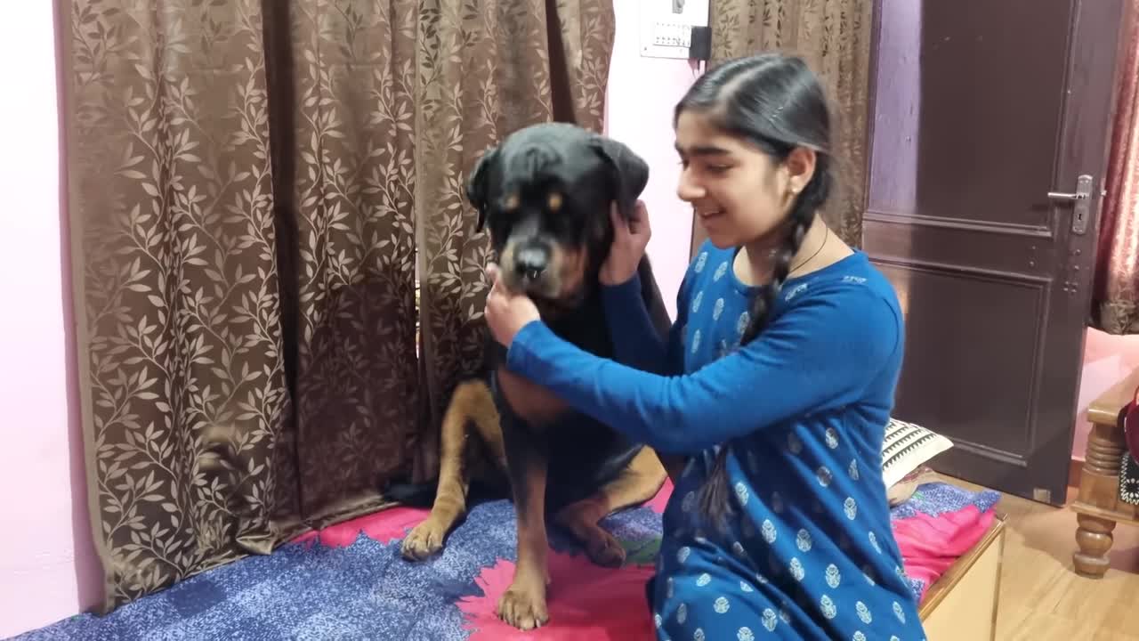 dog is playing cricket | the rott latest video| funny dog video 2022