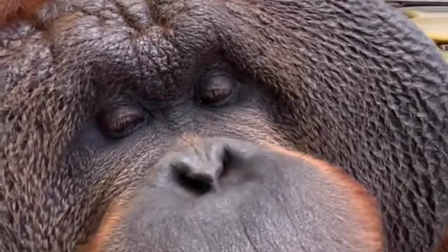 Please cherish our only neighbor on earth.