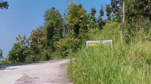 Koh Phangan Op dit eiland moet je gewoon dagelijks op je scootertje rond tuffen