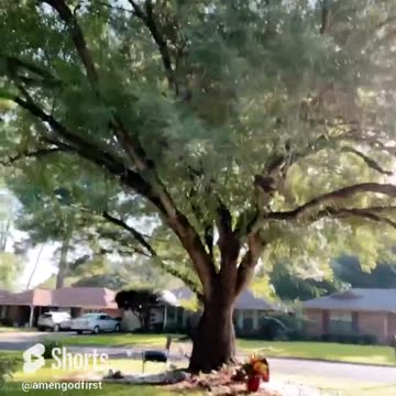 Morning Sun Light #shorts