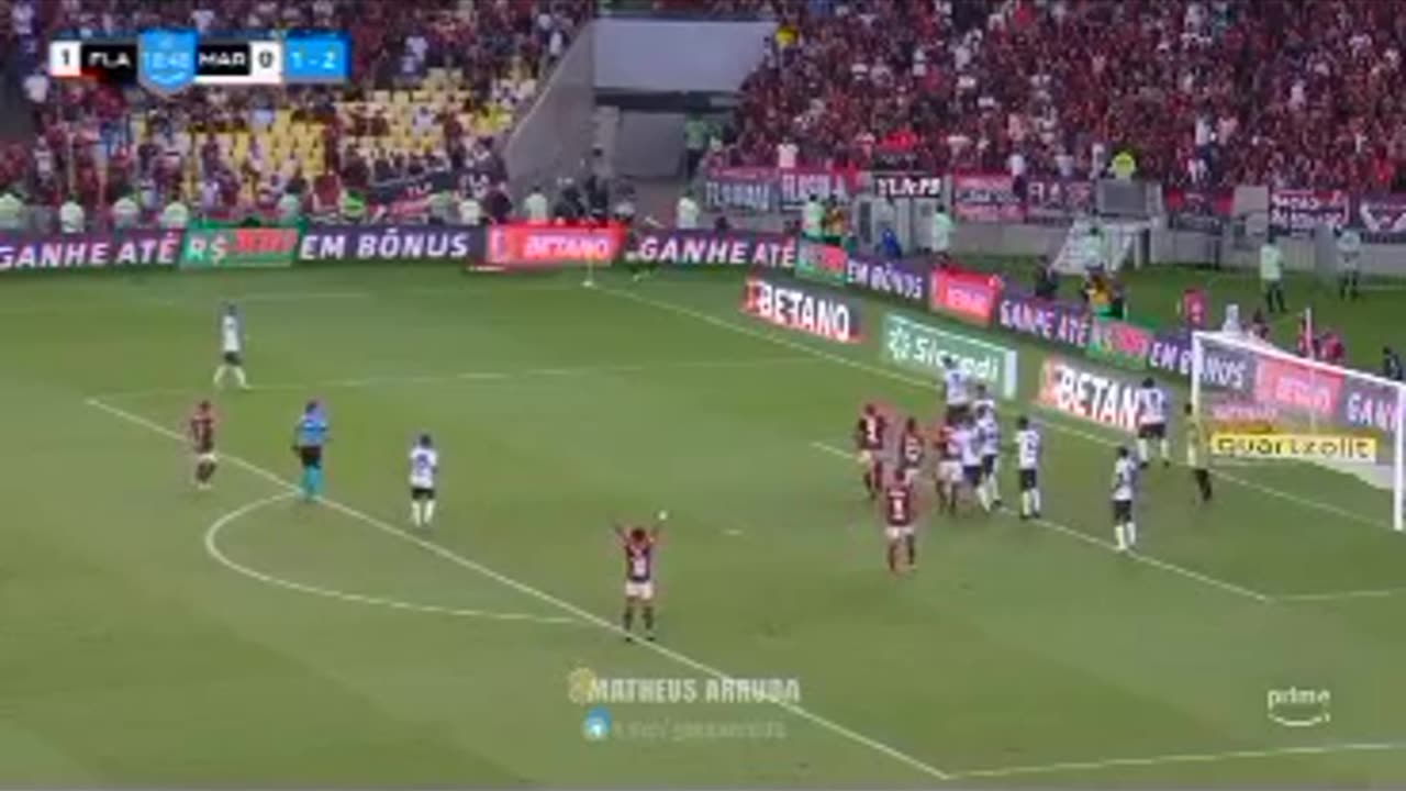 Todos os gols do mengão