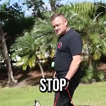 How to PROPERLY Hold a Leash