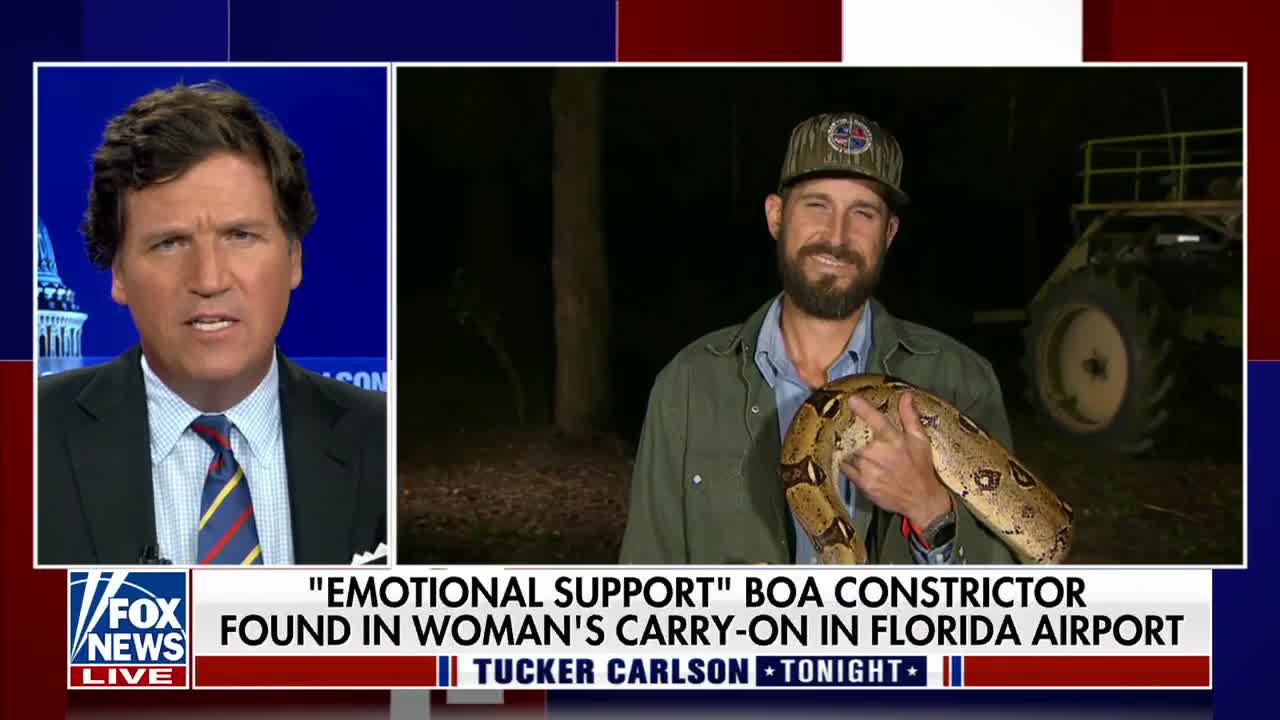 Tucker: TSA finds Boa Constrictor in woman's luggage