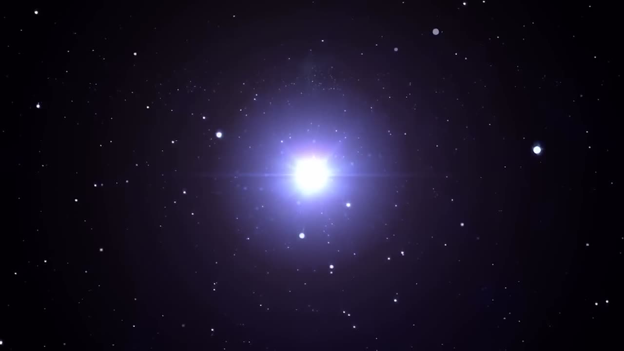 professional work satisfying videos