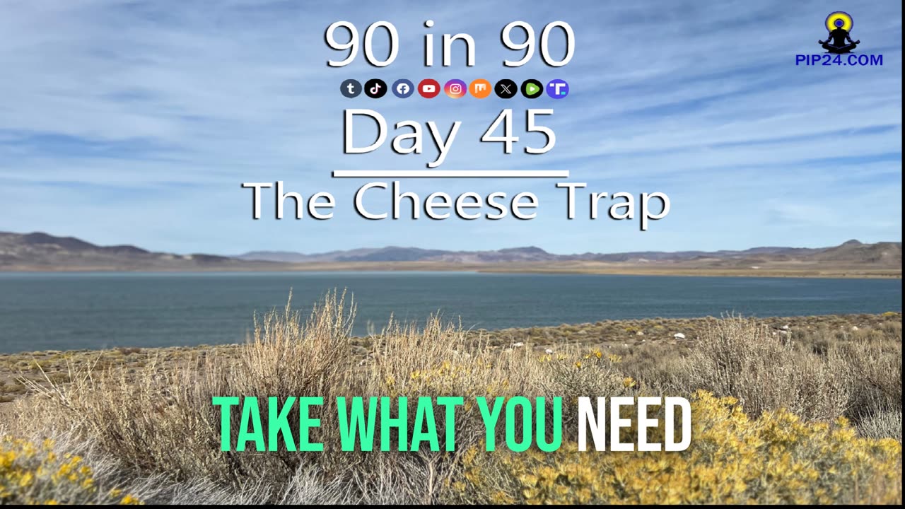 90 in 90 - Day 45 - cheese in the trap is always free