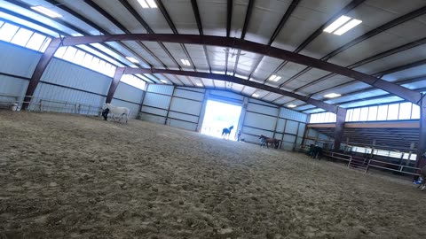 Farrah Horsemanship Clinic #3