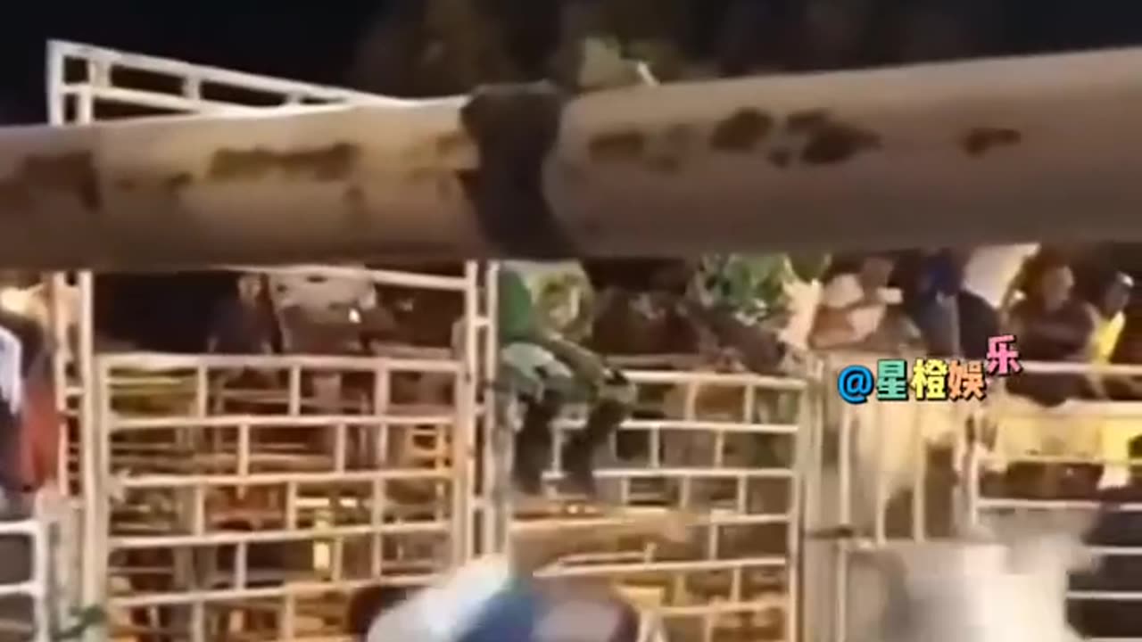Cute Animals😂ðŸ˜ðŸ˜