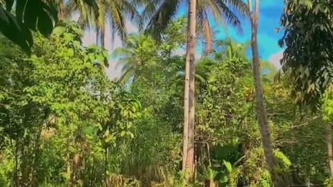 Weekend Getaway To Nature