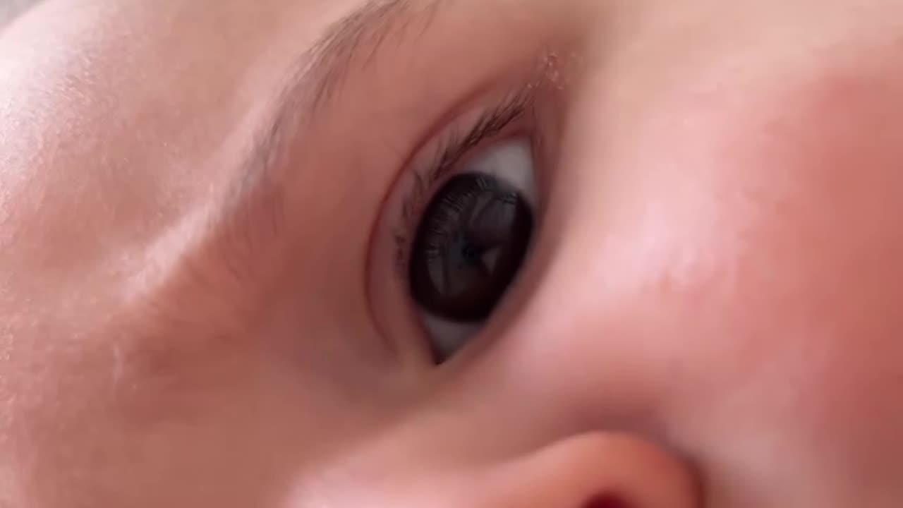 Cute baby videos