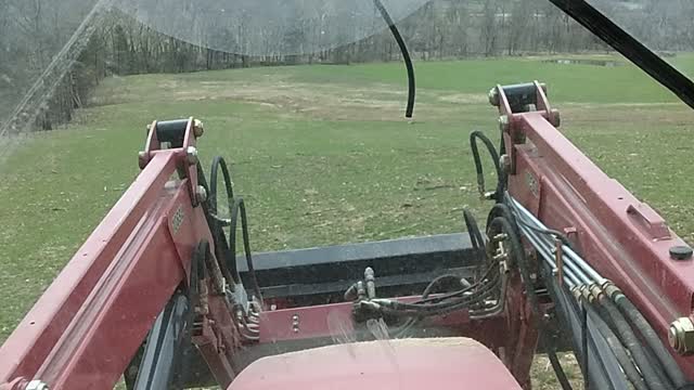 Seeding time