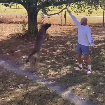 The End Funny Videos